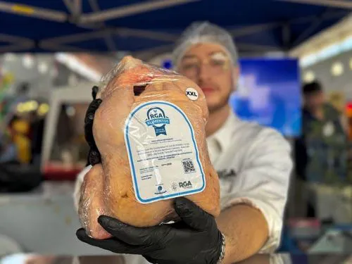 202512110908249a3dc1689e6e0b73fb8c95f8f36e6263_min