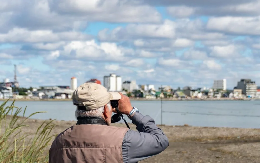 aves_migratorias_taller-1080x675