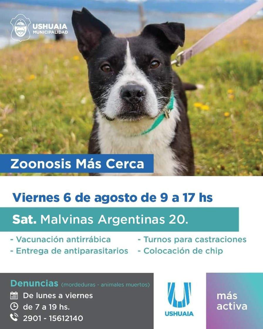 ZONOSIS SINDICATO