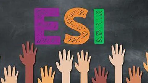 20250224103119aa18439ca373b49e5826d36481e143f9_min