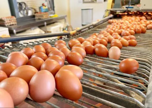 20250914101919079b4c2e5ad271347c4c6ba333364e73_min