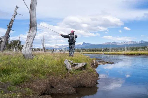 202510301108449844ddd9da551937079d83df32a8b549_min