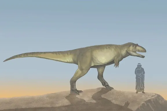 BY2XUHRXDNFD3G6F2TEK5GFVQE