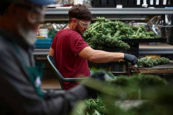 WYGB5KLWPHZAZC43VKNSXNGUN4