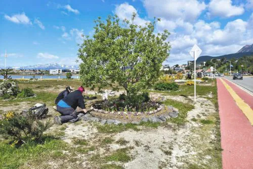 202512031202150335860f075613c0c2ff61ef987c840a_min