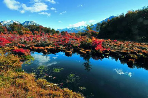 20251229093152653df884303ec85ca4c7d0c3c982e414_min