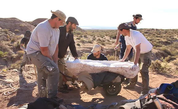 454FEEH6ZRECVLJMWC4NKOH24A