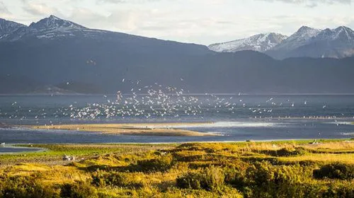 2025082709471104dce3d490d94bc81dcdc69d2a972690_min