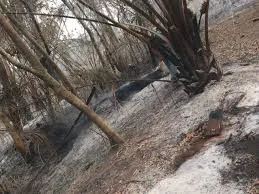 images-5