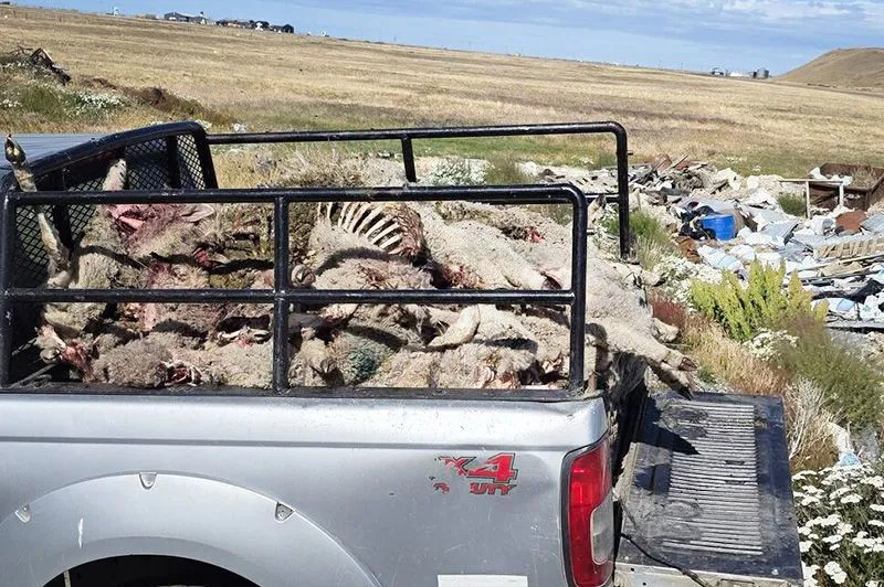 202602090949391b185ad773a802e7cb60020380b60b03