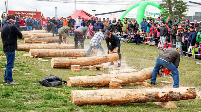 xse-viene-la-fiesta-provincial-de-la-lenga-fueguina-en-tolhuin_mKnh-800x445.jpg.pagespeed.ic.2OquoHjeP9