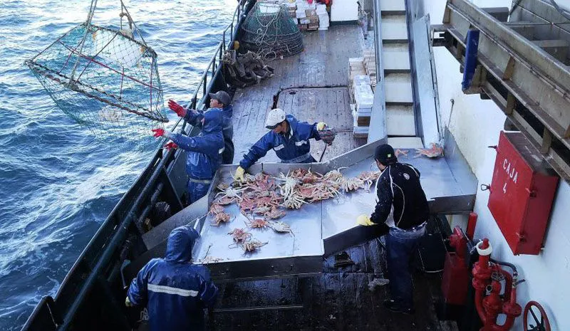 20250909110520144089d1cc0db14217ac63c5504e4689_med