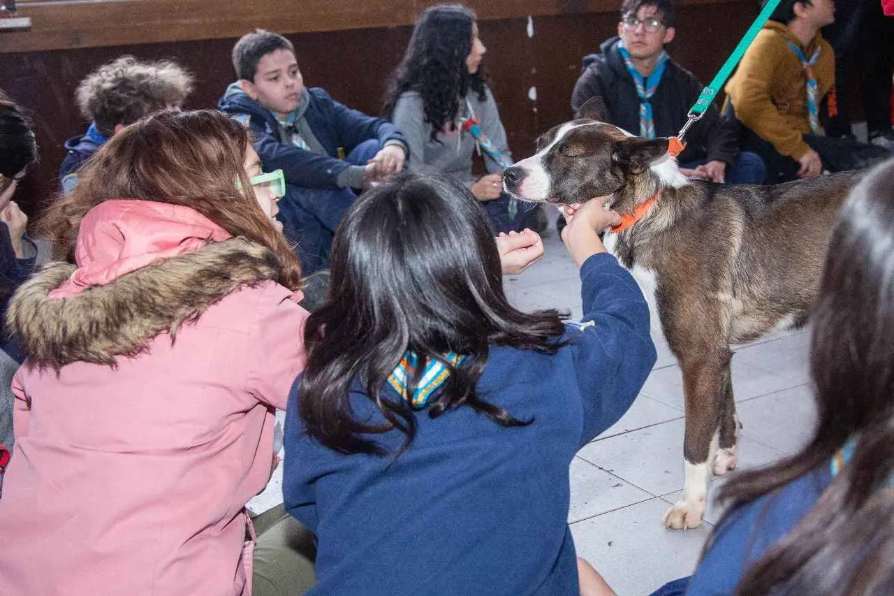 photo_4996867787024608988_y-1