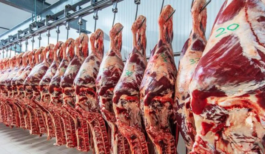 20260422163702_carne-820x360
