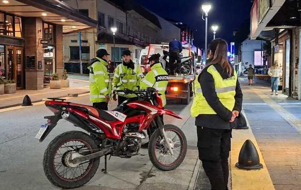 photo_4929704510087695127_y-1-1