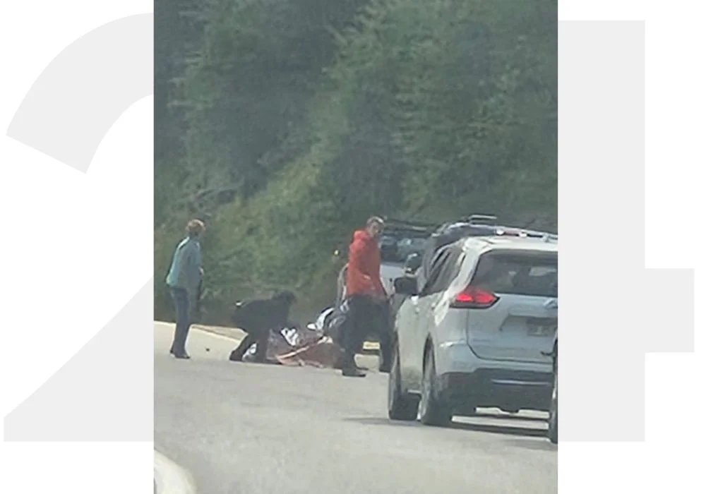 multimedia.normal.9fa2f91cc5f3e12f.bm9ybWFsLndlYnA=