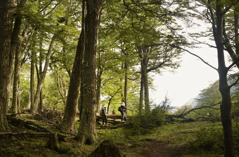 202511251008473e9135297ee517b81225a4985742bd0d