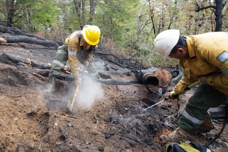 2026011211401218a030e889bc3d0d3d622ba11db20d94