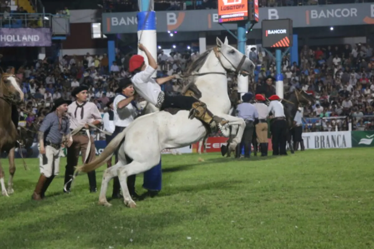 captura-de-pantalla-2026-01-08-152751_1200_800