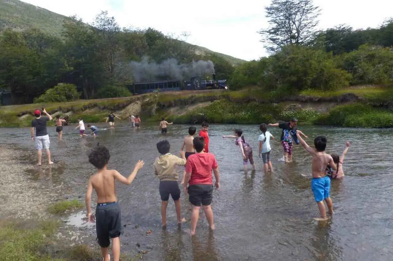 photo_4900390787061844871_y-1