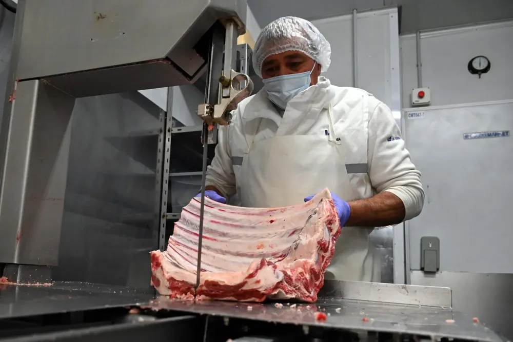 vf-carnes-barrera-fitosanitaria-8-e1747334819154