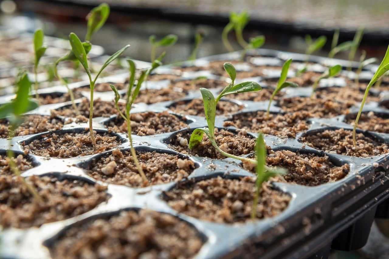 380963130_1646742005734861_7496051935249588516_n