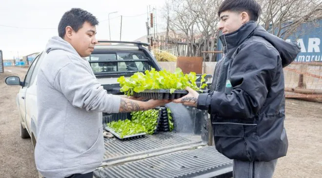 IMAGE-2025-09-09-222213-660x365