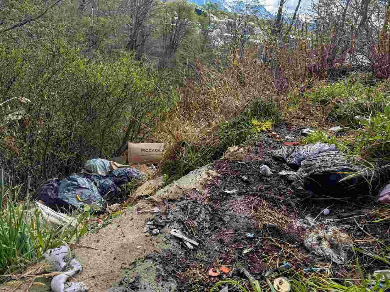 photo_5127793744718531450_y-1