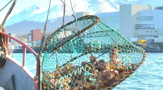 IMAGE-2025-10-01-185047-660x365