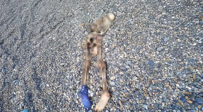 Cadaver-pixelado2-660x365