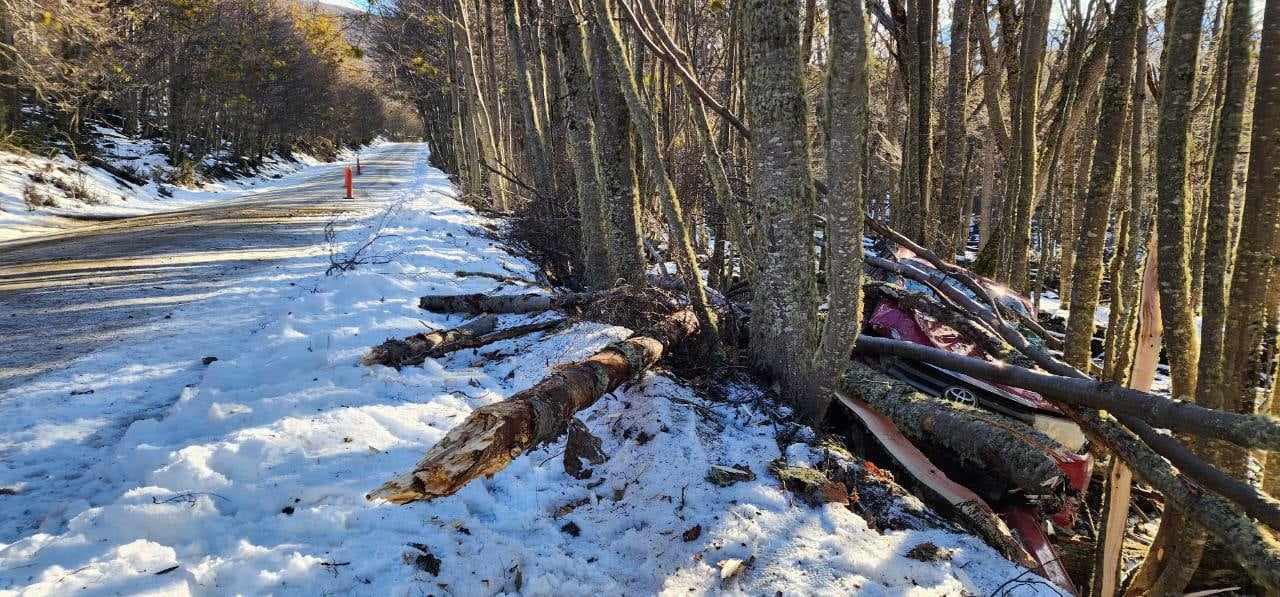 364239865_1592904414450100_7933147918287567075_n