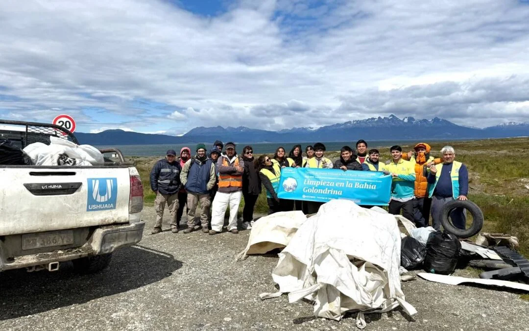 limpieza_b_golondrina-1080x675