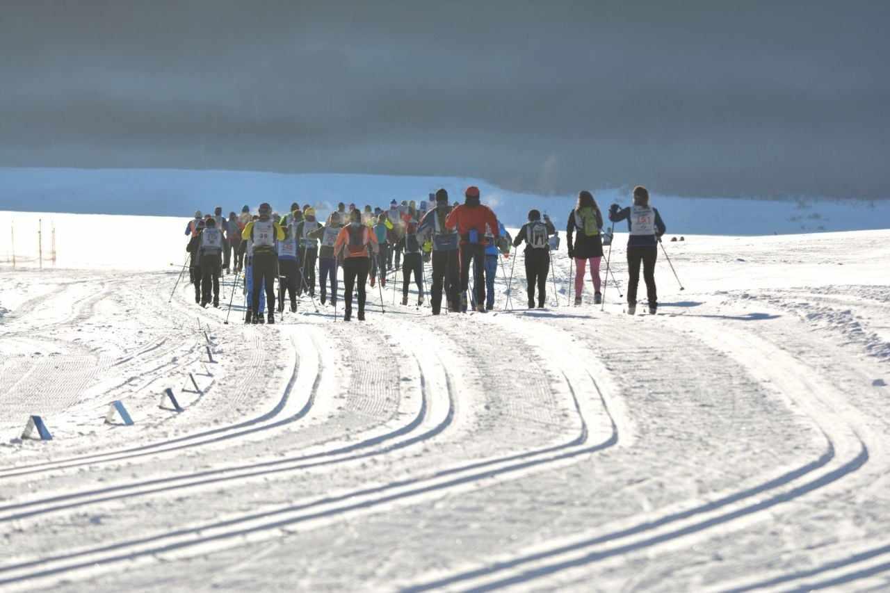 367736347_737704005038205_8804003755736030699_n