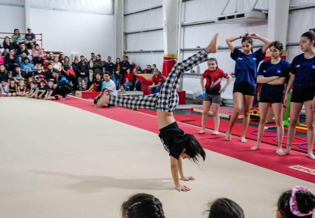 348380660_2293954844144661_4615591524060271838_n