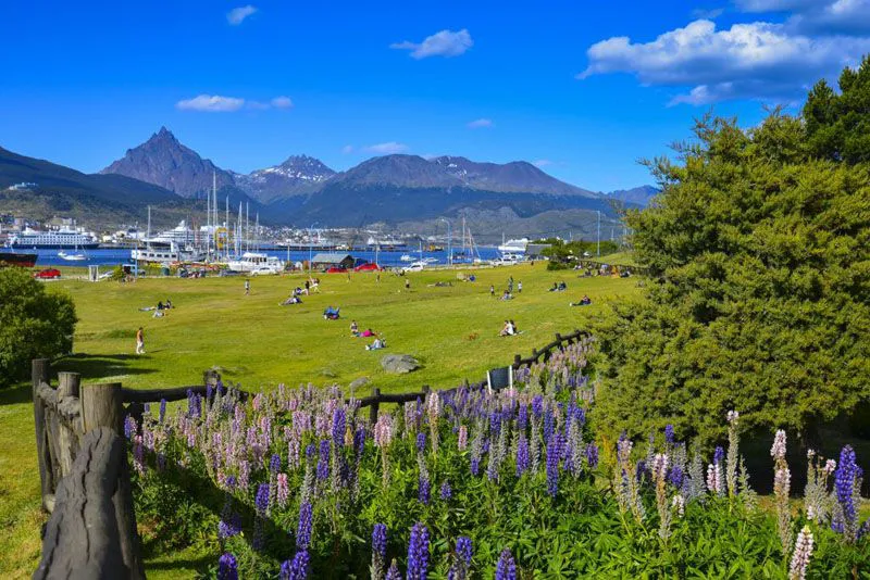 2026012909551739e78300decb4c0c6b2b231f73b6b172