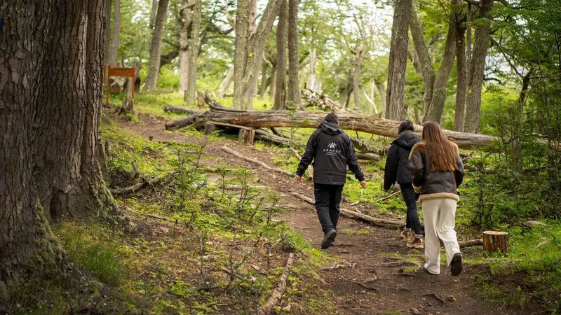 202512140910531221e1c81c1e7e07e8685dfb6ab2e873