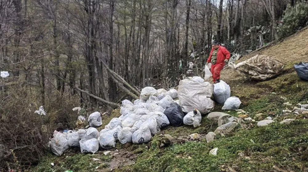 202510081048499a952ab19208baf01bd6531a4abe62ba