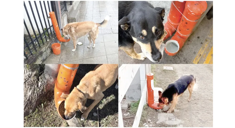 Captura-de-pantalla-2026-01-15-a-las-21.05.19